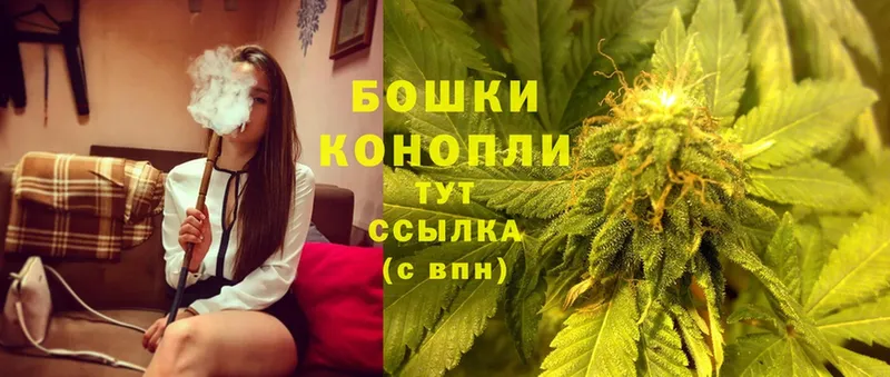 закладки  Поворино  Канабис SATIVA & INDICA 